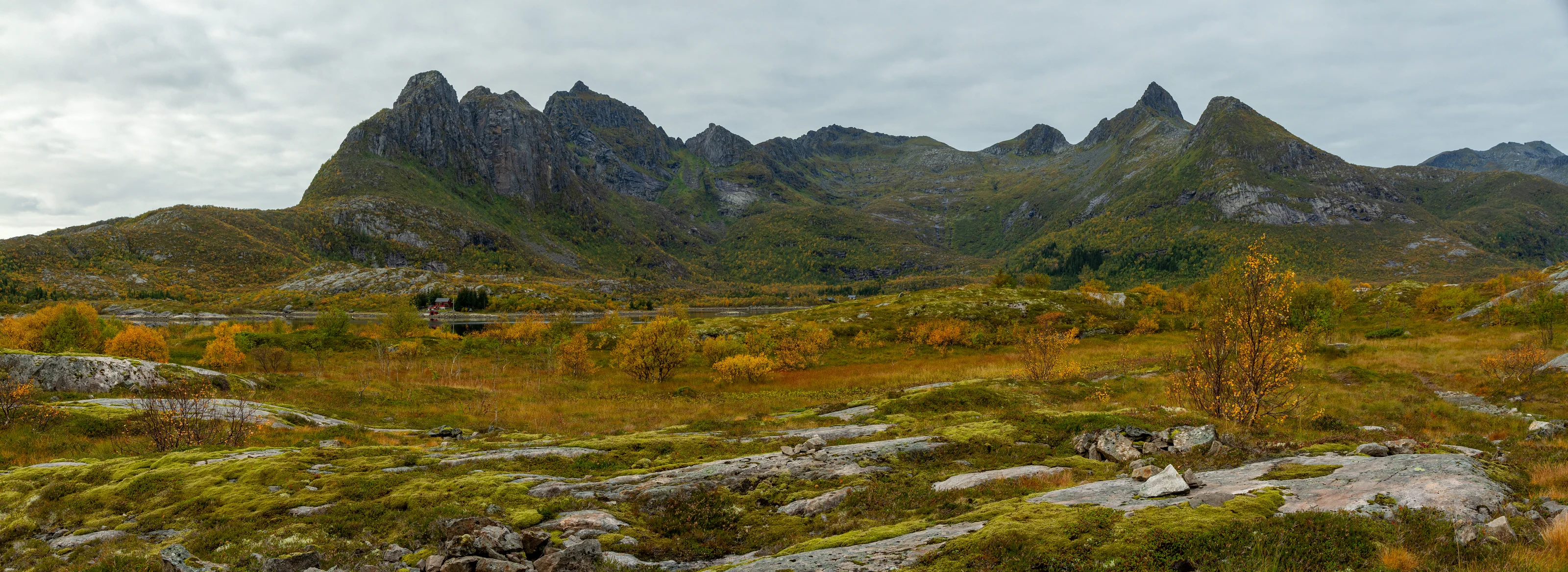 Fløya · Vågan