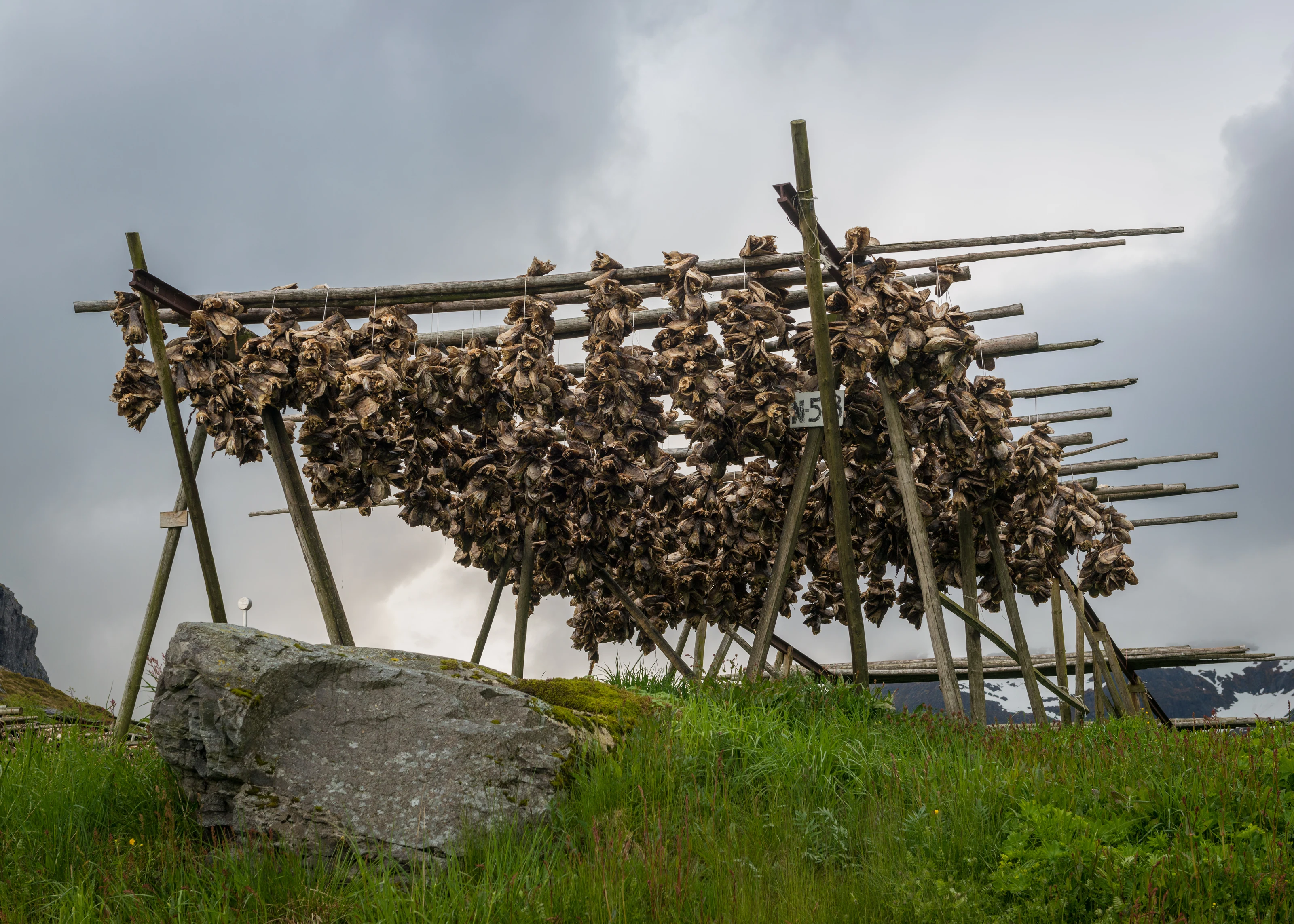 Å · Lofoten