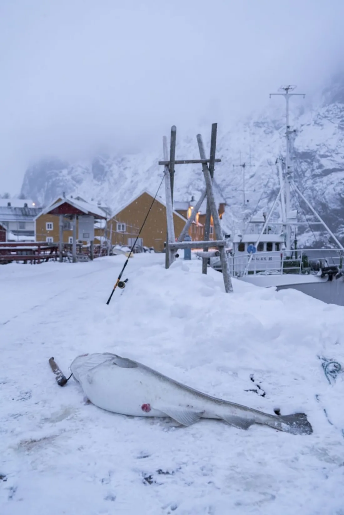 Lofoten Cottages – bilde 5 av 5