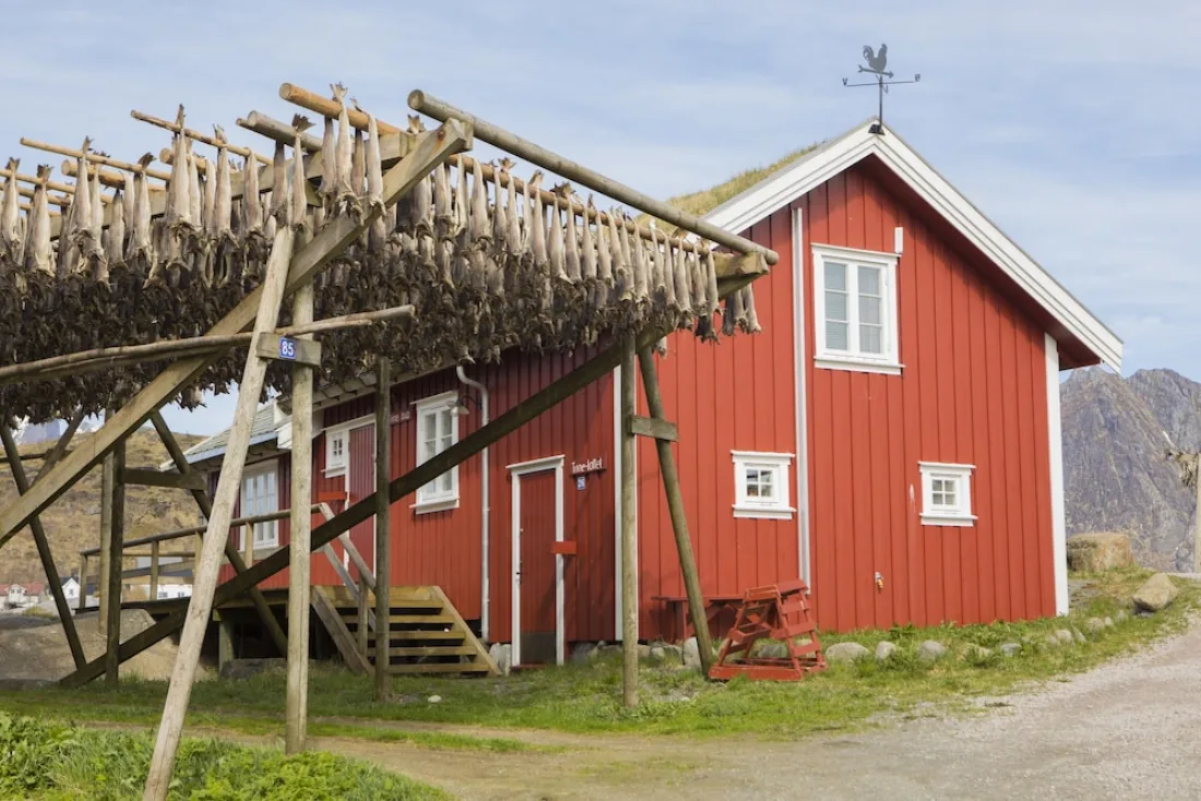 Reine Rorbuer – bilde 4 av 5